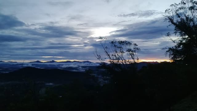 Header 03